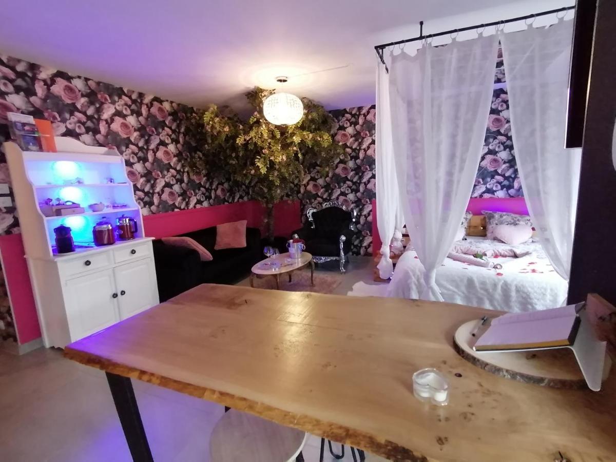 Romantisme Et Glamour 2 Avec Spa , Clim Et Jardin Dijon Exterior foto